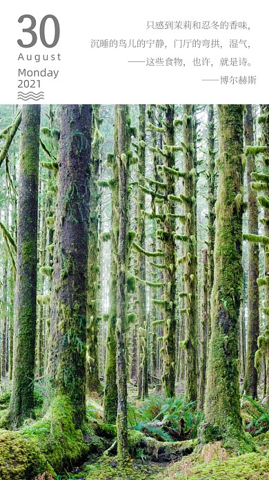 早安阅读朋友圈语录摄影图海报