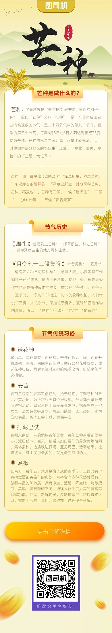 芒种节气黄色卡通文章长图