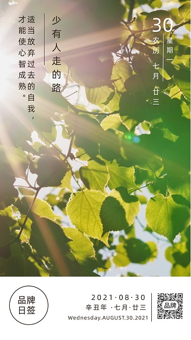 每日一签心灵鸡汤摄影图海报