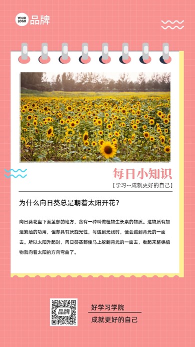 每日一签学习小知识摄影图海报