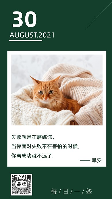 每日心语日签鸡汤猫咪摄影图海报
