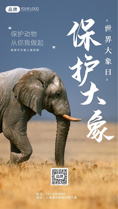 世界大象日爱护动物摄影图海报