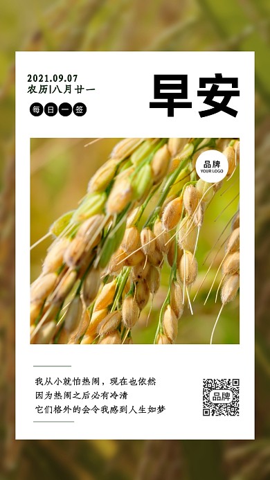 早安世界清新成熟麦穗摄影图