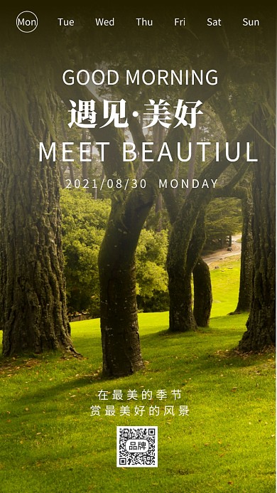 遇见美好早安森林绿色摄影风日签