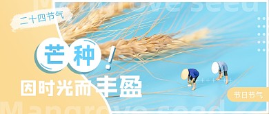 芒种节气简约公众号首图