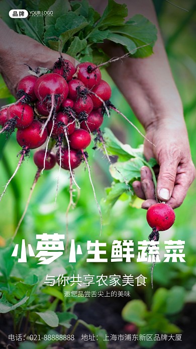 生鲜蔬菜农家萝卜摄影图海报