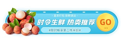 时令生鲜荔枝蓝色胶囊banner