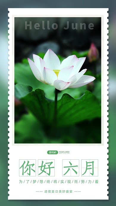 唯美荷花清新夏日日签手机海报