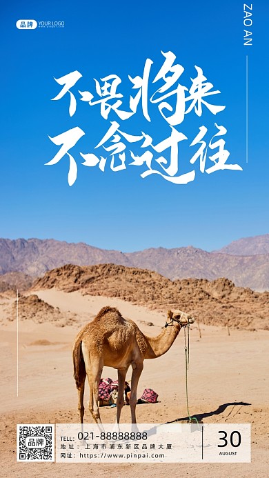 青春励志企业文化沙漠骆驼摄影图海报