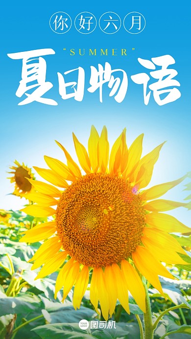 你好六月向日葵日签手机海报