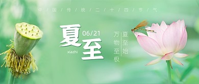 夏至节气荷花公众号首图