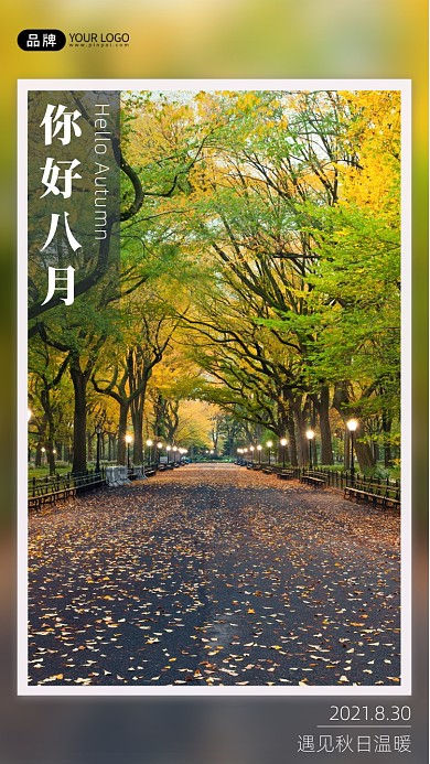 八月秋日落叶公园风景摄影图海报