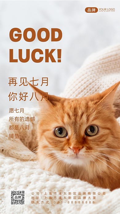 八月你好祝福心愿可爱猫咪摄影图海报