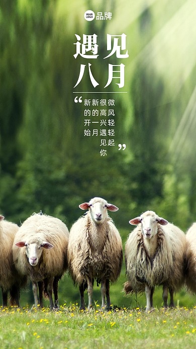 遇见八月早安野外山羊摄影图海报