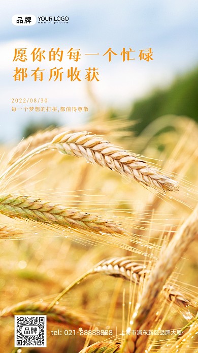 八月收获金黄麦穗麦田摄影图海报