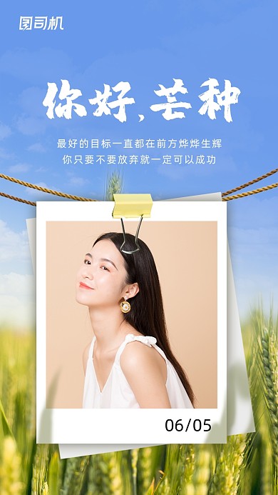 芒种节气创意清新简约手机海报