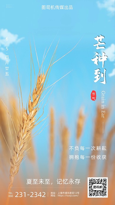 芒种时节清新简约手机海报