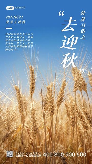 处暑节气简约风摄影图海报