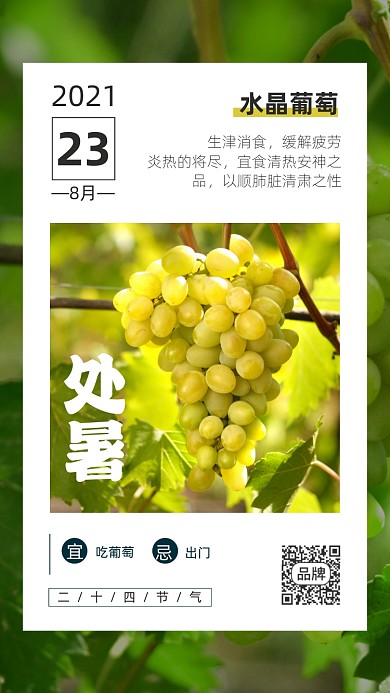 24节气处暑简约风摄影图海报