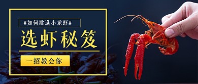 小龙虾选虾秘籍简约公众号首图