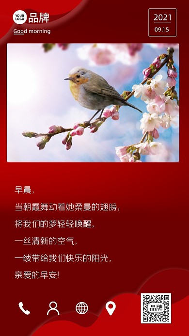 早安每日一签鸟花风景摄影图海报