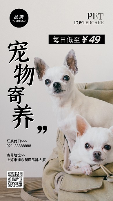 宠物店寄养背包装可爱狗狗摄影图海报