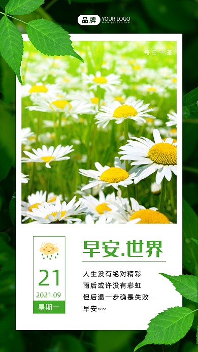 雏菊绿叶早安世界小清新摄影图海报