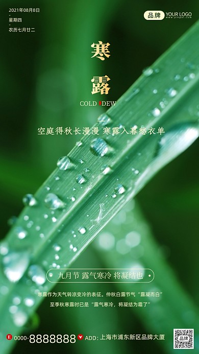 寒露节气绿叶露珠清新摄影图海报