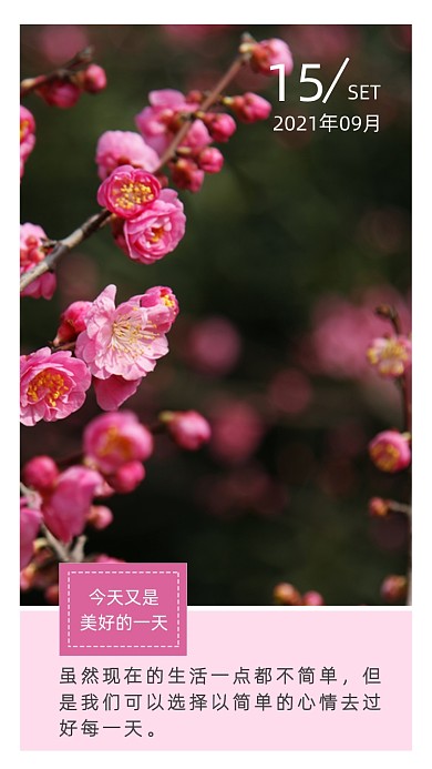 桃花文艺小清新日签摄影图海报