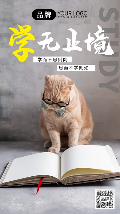 日签学无止境猫咪书本摄影图海报