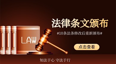 法律条文颁布简约广告banner