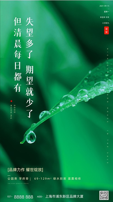 植物树叶水滴房地产绿色宣传摄影图海报