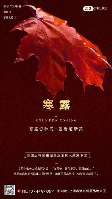 寒露节气红色枫叶落叶简约摄影图海报