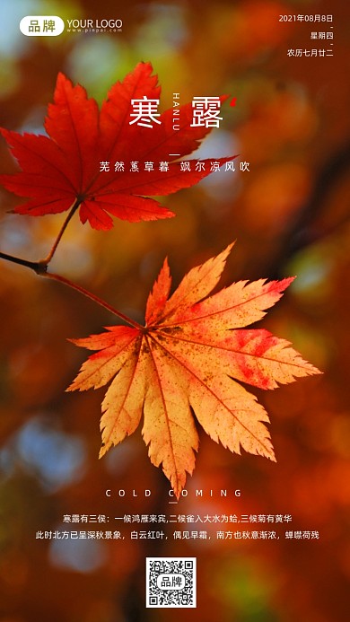 寒露节气秋天落叶清新摄影图海报