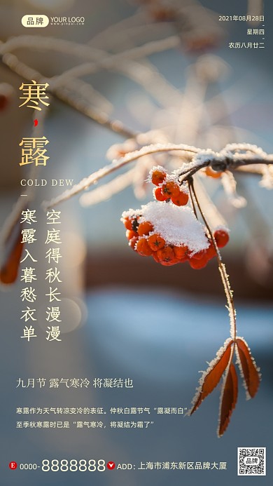 寒露节气霜叶清新摄影图海报