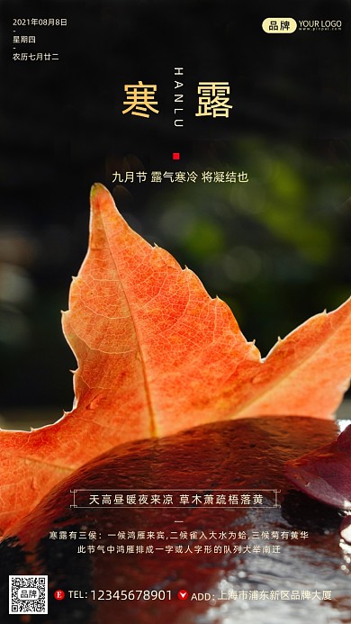 传统寒露节气落水枫叶简约摄影图海报