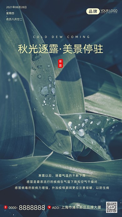 寒露节气清新墨绿树叶摄影图海报