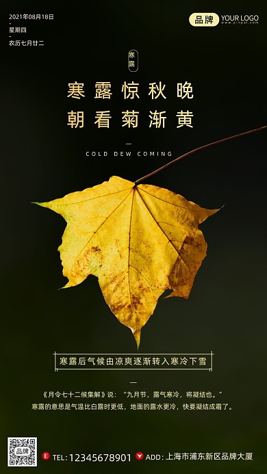 寒露节气泛黄落叶简约摄影图海报