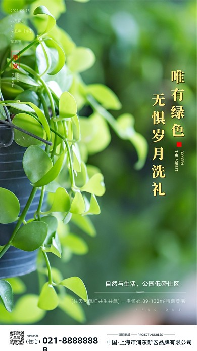 植物盆栽早安日签地产摄影图海报
