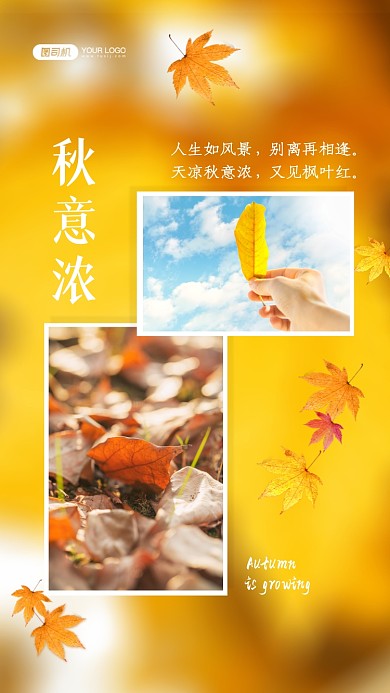 秋意时光相册拼图简约手机海报