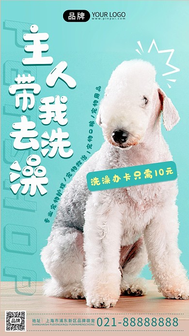 宠物洗澡服务可爱清新摄影图海报