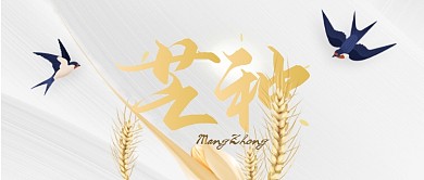 芒种节气简约小麦公众号首图
