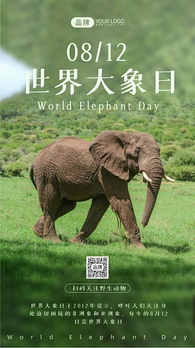世界大象日公益宣传摄影图海报