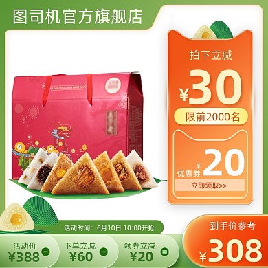 端午节粽子绿色直通车