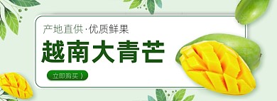 夏季水果青芒芒果电商全屏海报