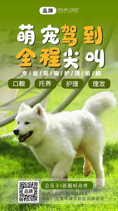 宠物服务可爱萌宠摄影图海报