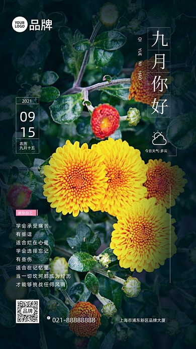 九月你好菊花风景摄影图海报