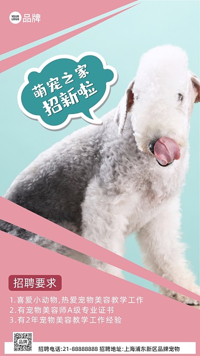 宠物店招聘诚聘摄影图海报