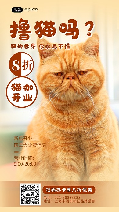 猫咖开业可爱猫咪摄影图海报