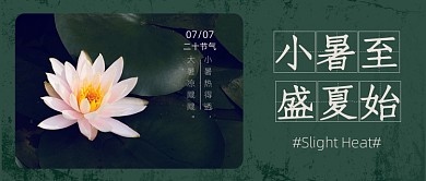 小暑节气荷花绿色公众号首图